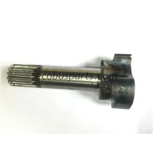 Arbre de lleves davant dret